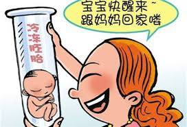 关于暖阳生殖